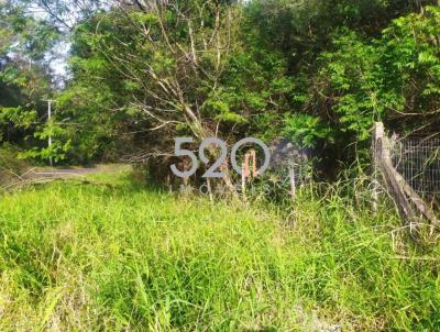 Terreno para Venda, em Alvorada, bairro Aparecida