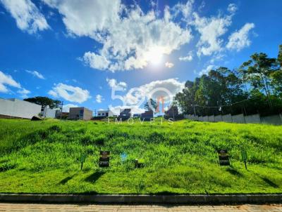 Terreno para Venda, em Viam�o, bairro Stella Maris