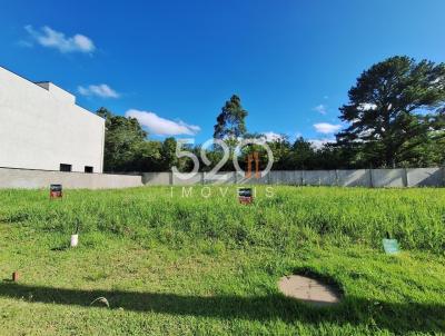 Terreno para Venda, em Viam�o, bairro Stella Maris