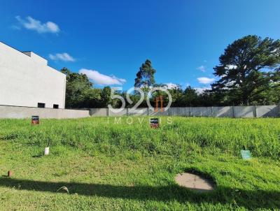 Terreno para Venda, em Viam�o, bairro Stella Maris