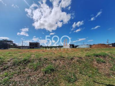 imagem-miniatura