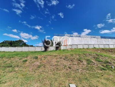 imagem-miniatura
