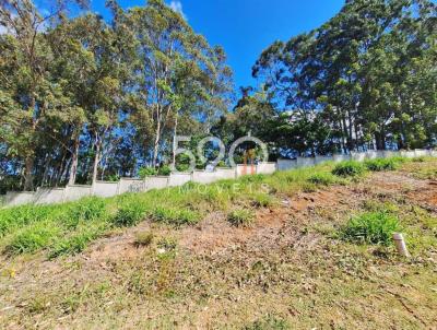 Terreno para Venda, em Viam�o, bairro S�o Lucas