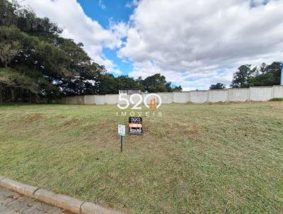 Terreno para Venda, em , bairro S�o Lucas
